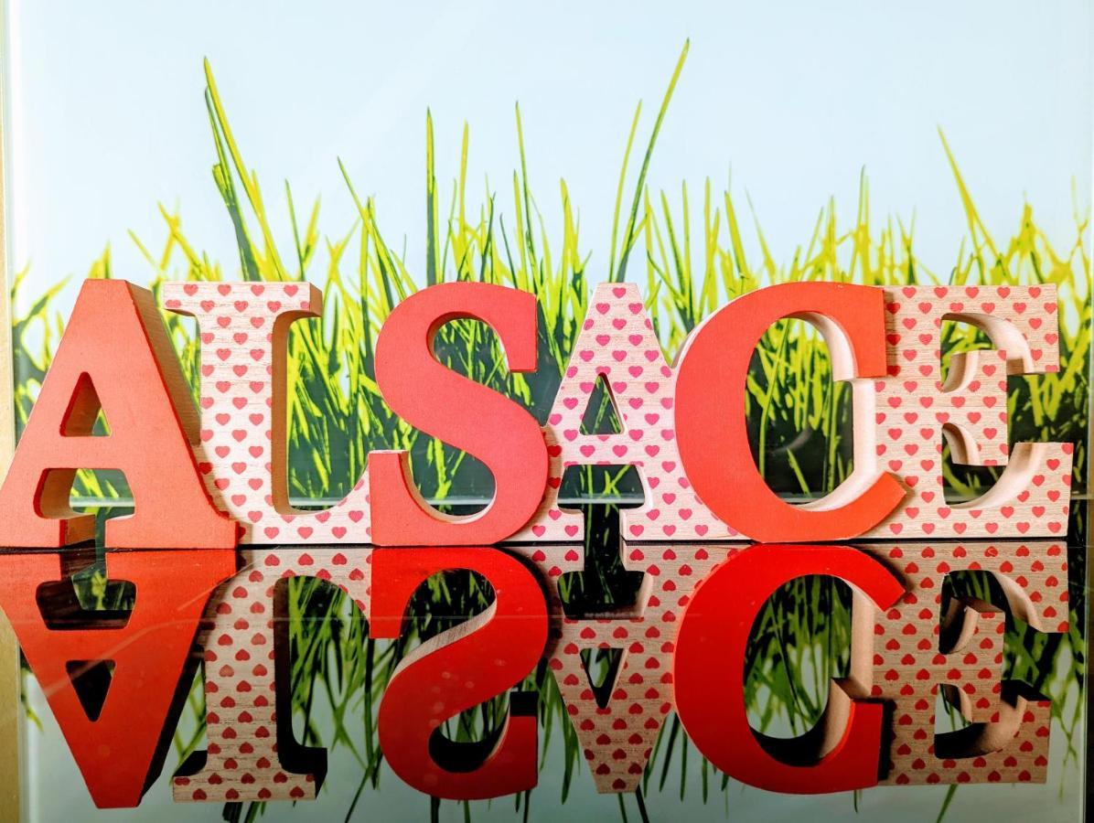 Citycosy-Strasbourg: Boston Espla Dış mekan fotoğraf